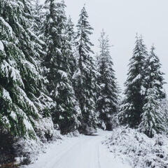 winter