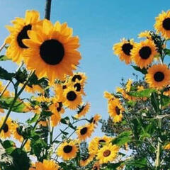summer